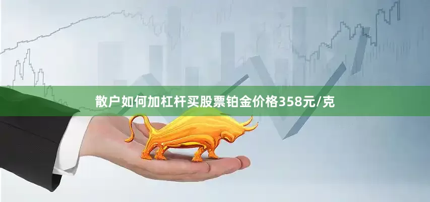 散户如何加杠杆买股票铂金价格358元/克