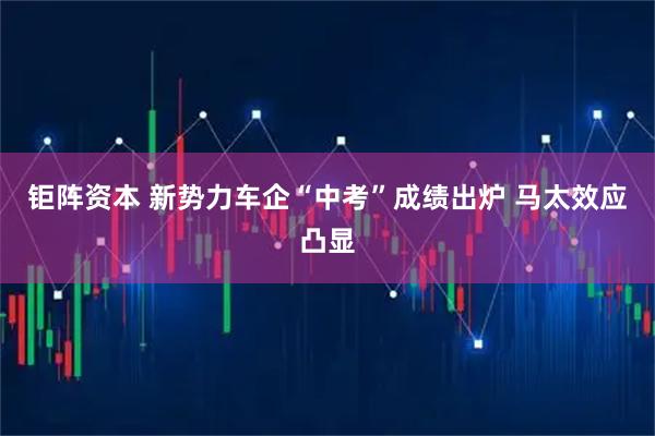 钜阵资本 新势力车企“中考”成绩出炉 马太效应凸显