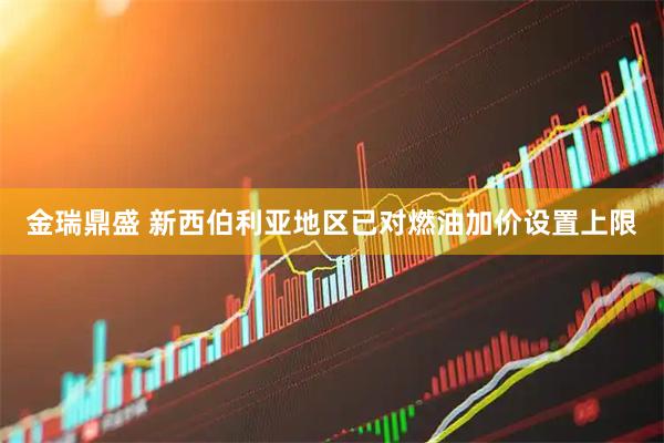金瑞鼎盛 新西伯利亚地区已对燃油加价设置上限