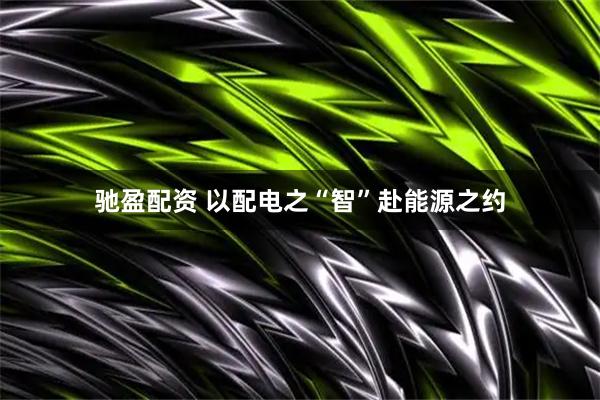 驰盈配资 以配电之“智”赴能源之约